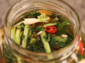 Kombucha Kimchi Kefir