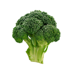 Broccoli (1 piece)