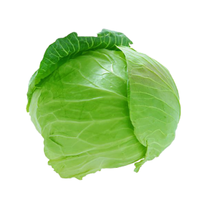 Cabbage white (each)