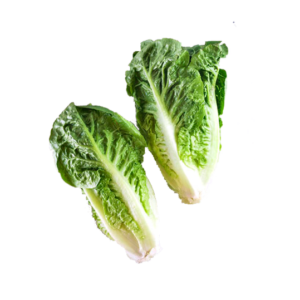 Lettuce Little Gem x2