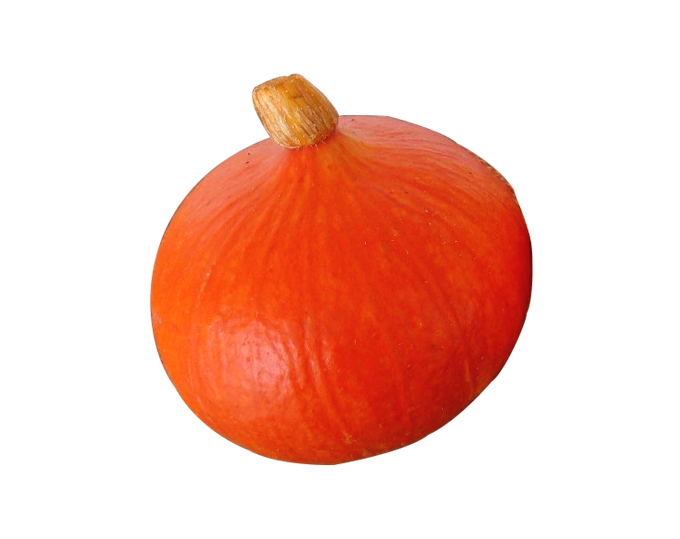 Squash Red Onion One Organic