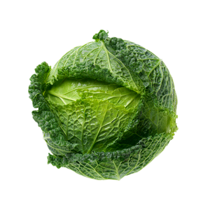 Cabbage savoy (each)