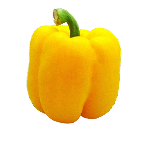 Pepper Yellow (each)